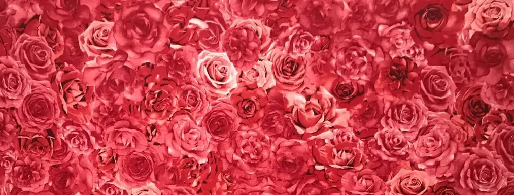tecido floral rosas vermelhas
