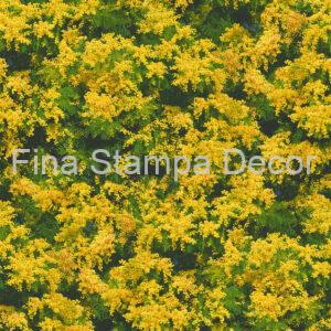 Papel de Parede Ipê Amarelo