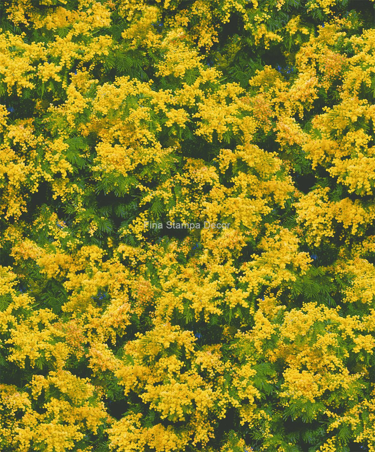 papel de parede ipê amarelo