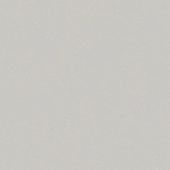 papel de parede cinza claro