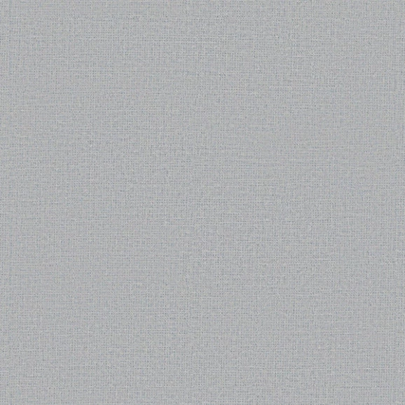 papel de parede cinza titânio