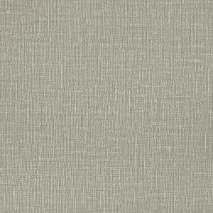 Papel de Parede Verde Musgo