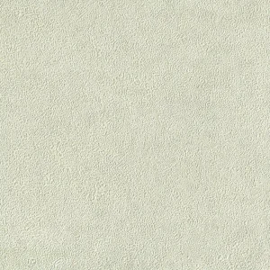 Papel de Parede Verde Água